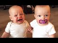 Twin Baby Girls Fight Over Pacifier | Cutest Babies | KYOOT