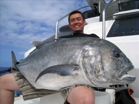 GT 28kg Catch!! H-Style, Morizo@Miyako Is.