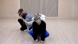 [TXT - Cat & Dog] dance practice mirrored