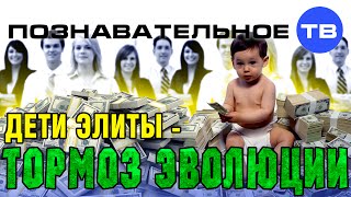 Дети элиты - тормоз эволюции (Познавательное ТВ, Сергей Савельев)