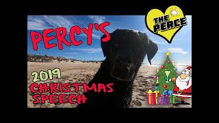 Percy the Labrador Christmas 2019 Christmas Speech