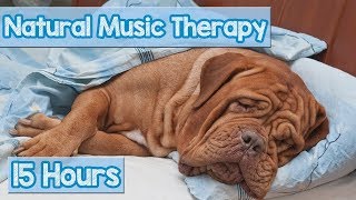 How to Calm My Dog? Pet Therapy Music to reduce Puppy Anxiety - Helped 4 million dogs ( New 2018) 🐕💤