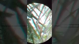 Lihat Aja Uda Senang..