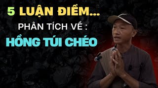 Hồng Túi Chéo Có Thật Sự Tốt - 5 Luận Điểm Phân Tích Cực Hay