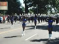 2013 Prancing J Settes Shc Parade Get Ready images 2013 Prancing J Settes Shc Parade Get Ready