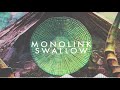 Amniotic Video preview