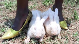 Woman Trampling In Heels Part 99