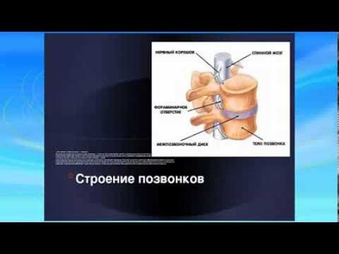 Выравнивание позвоночника Выравнивание позвоночника