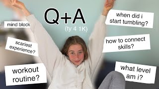 Qa Answering Your Questions Tysm For 1K Polinatumbles