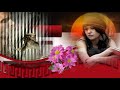 ♥♫ILUMINADO - VANDER LEE♥♫