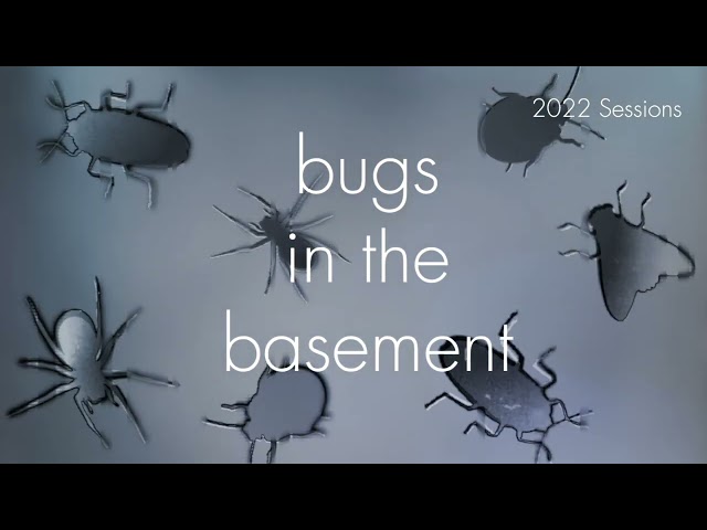 Bugs In The Basement- Brevicoryne Brassicae aka The Cabbage Aphid