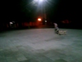 pastore 動画8a