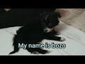 Ranker Video