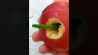 Snake In Apple