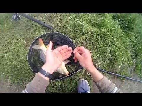 рыбалка на дону весной на донку видео рыбалка на дону весной на донку видео