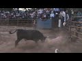 Toros de Rancho Caporales de Jalisco en Citala 2011