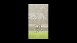 sdLaVvDbdbA Video Image