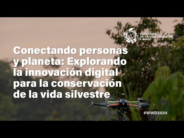 Watch Conectando personas y planeta: Explorando la innovación digital para la conservación... on YouTube.