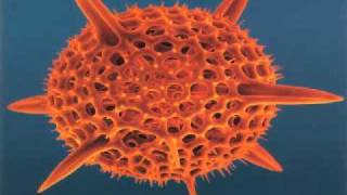 Watch Cause Effect Generation video