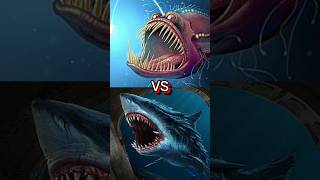Megalodon Vs Angler Fish, The Bloop, Ular Falak, Kraken, Monster Leviathan