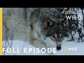 Land of Ice and Snow (Full Episode) | Wild Nordic