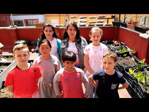 NUESTRO HUERTO EL NUEVO PROFESOR. Colegio concertado Luis Feito
