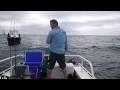 How to catch Kingfish on soft plastics - Ep 26