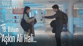 Aşkın Ali hali - Mucize Doktor 19. Bölüm