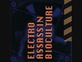 Electro Assassin - Incubus