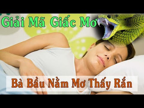 Giải Mã Giấc Mơ | Bà Bầu Nằm Mơ Thấy Rắn Có Điềm Báo Gì ?