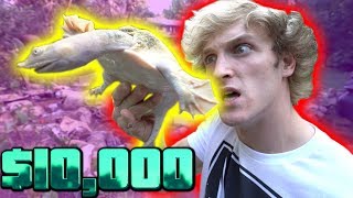 RELEASING MY $10,000 ALBINO TURTLE! RELEASING MY $10,000 ALBINO TURTLE!