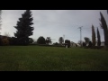 boscom hd 19 gimbal test 2