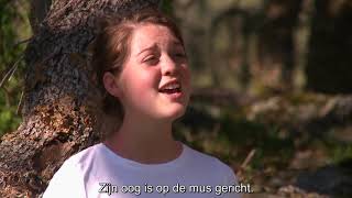 Zijn oog is gericht op een mus - Fountainview Academy