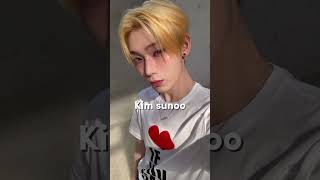 Enhypen Members Real Name Sub For Enha