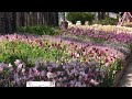 名城公園フラワープラザ前の花壇