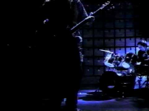Champion of Versatility Video