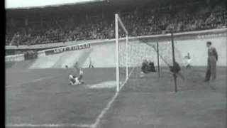 sfDvgcOCdkI Video Image