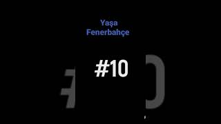 Yasa Fenerbahçe