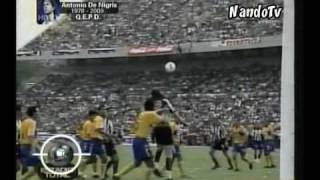 sfSXEBcCEa4 Video Image