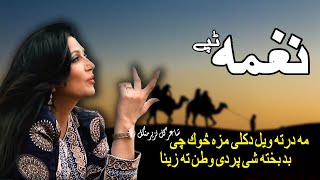 Musafari Tappay Naghma Pashto Song 2022 Tappay Hd Afghani Mmc Official