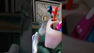 Rotina Da Manhã Parte 1