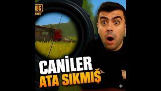 Zirvede Caniler Ata Sıkmış Gibi Tadımlık