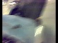 sharmota