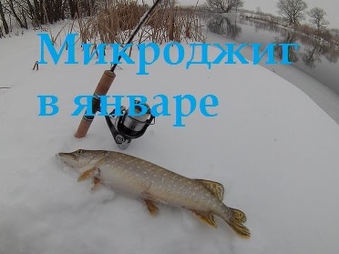 микроджиг в марте видео микроджиг в марте видео
