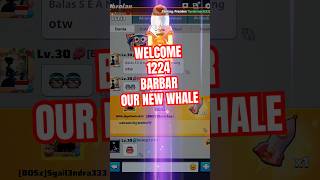 Whale Indo Barbar Se Barbar Namanya?