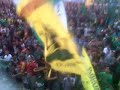 image Singa Sriwijaya Mania Sriwijaya Fc