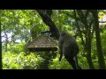 Ubud, Bali Sacred Monkey Forest