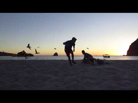 Explore the World's Aquarium- Baja Coastal Ecology