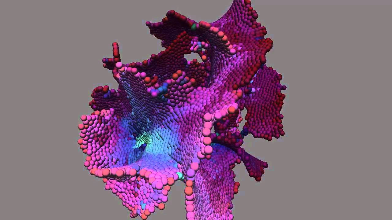 Morphogenèse