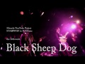 【歌詞つき】Black Sheep Dog(live ver) / FoZZtone [official]